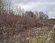 Продажа земельного участка с коммуникациями для строительства коттеджного городка Мукачево, Закарпатская область, Мукачевский район, город Мукачево, фото #2