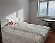Срочно продаю дом в селе Черник Свалява +земля  дом Закарпатье, Закарпатская область, Свалявський, село Черник, фото #5